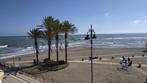 A beach with palm trees, a walkway, and a view of the ocean.
