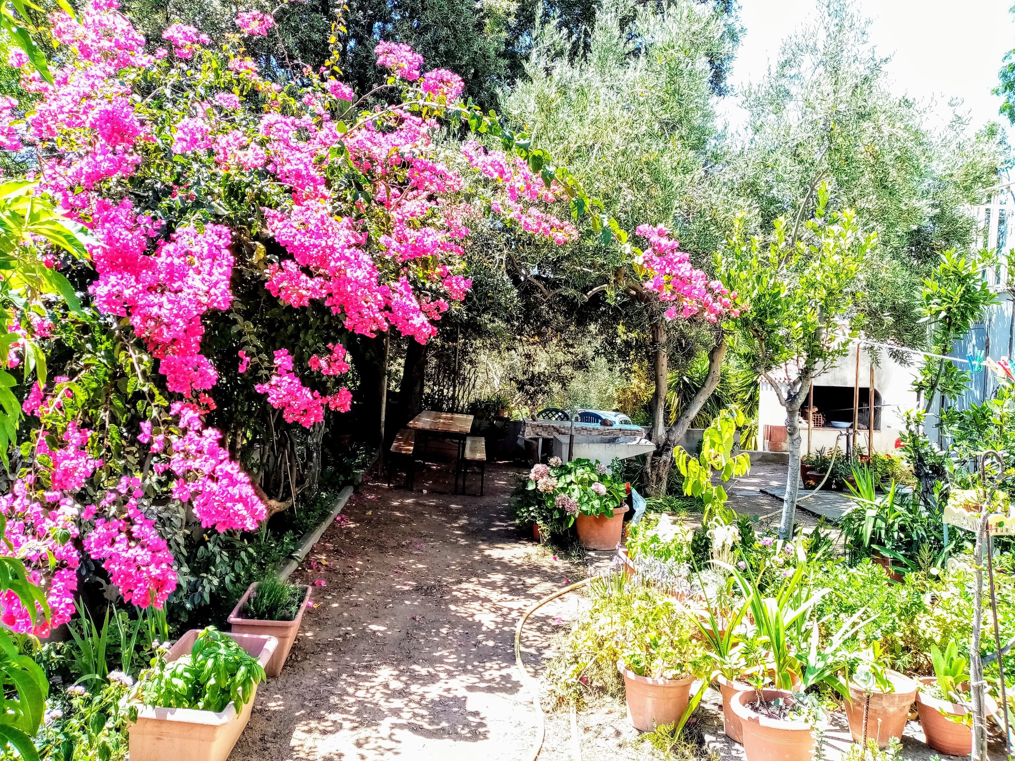 Àrea exterior de l'allotjament