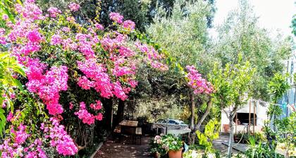 Villaloddo2-IT091089C2000P2661