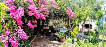 Villaloddo2-IT091089C2000P2661