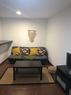 TV, fireplace, books