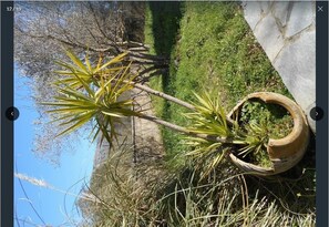 Property grounds - Villa Pasiphae, 2 bedroom house (Armeni)