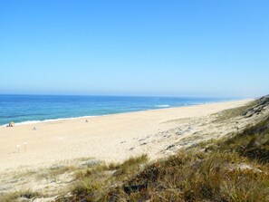 A beach with a clear sky, sandy shore, and sparse vegetation. - CASCALHEIRINHA HILL (Santo André)