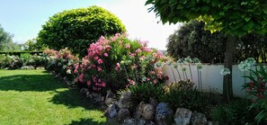 Property grounds - Stunning  Rural Country Villa with mountain views set in 6 acres of private land (Villanueva del Rosario)
