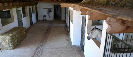 Parco della struttura