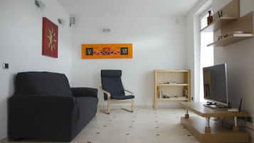 Televisión, chimenea y libros