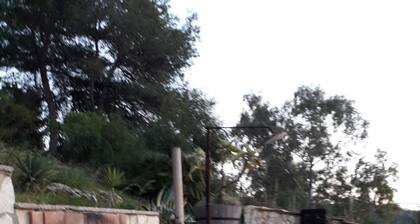 Villetta Sara immersed in the green of the countryside