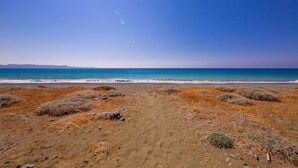 Una playa con cielo despejado, un camino de arena y dunas cubiertas de algas.
