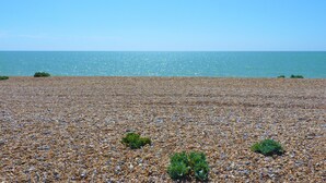 A pebbled beach with small green shrubs and a clear blue sky. - Stunning beach cottage for the perfect British family holiday with 3 bedrooms (Pevensey Bay)