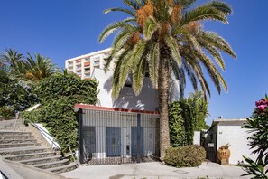 A building with a gated entrance, a staircase leading up, and a palm tree in the foreground.