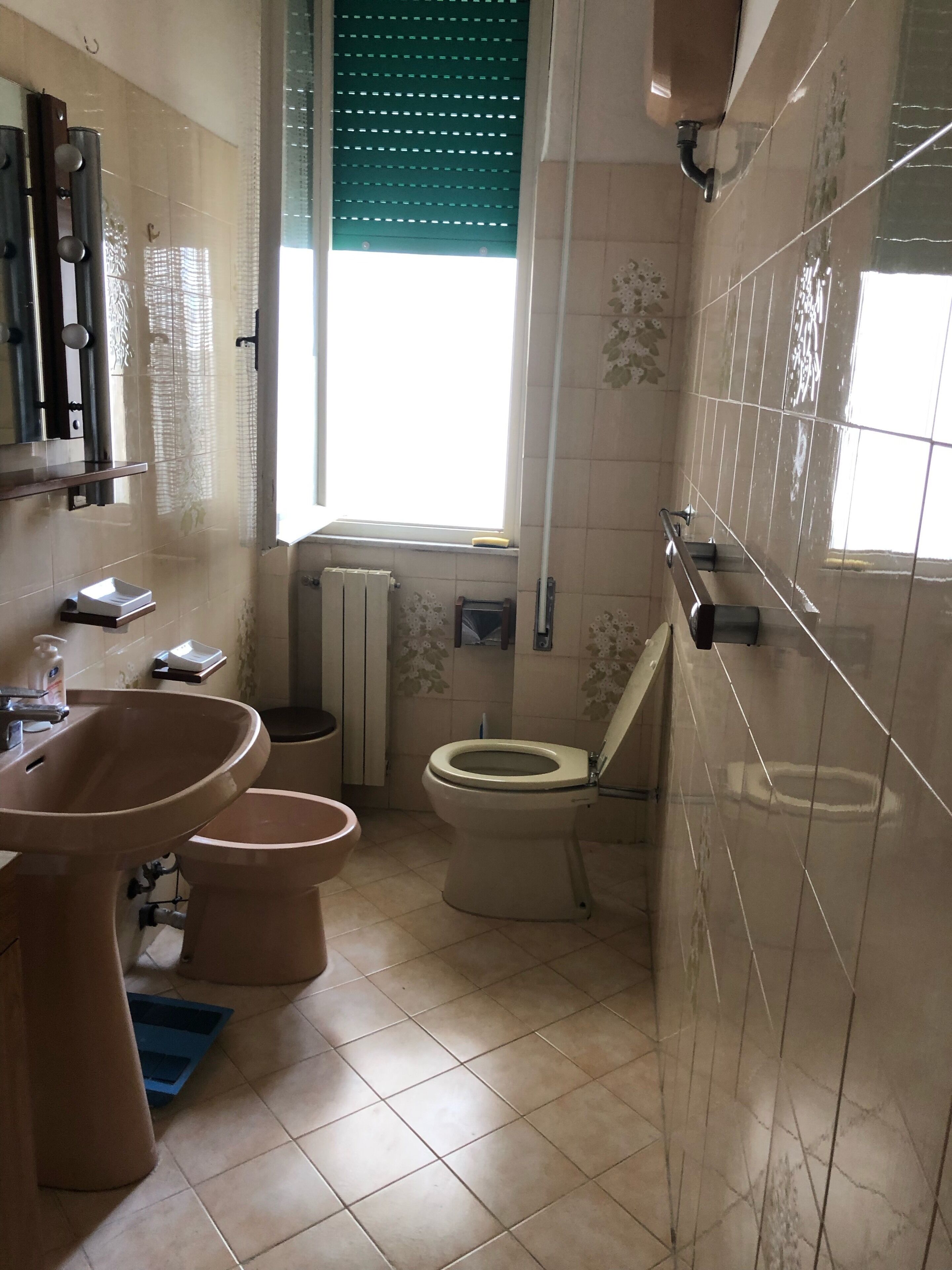Dusche, Haartrockner, Bidet, Handtücher