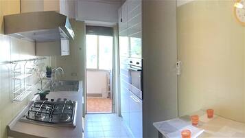 Fridge, oven, stovetop, cookware/dishes/utensils