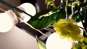 Apartment, 1 Bedroom (101) | Room amenity - Three (Tokyo)