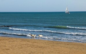 Pesca 