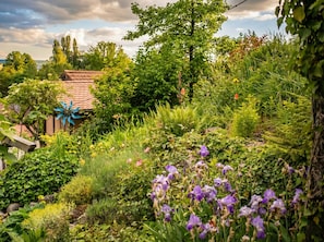 Property grounds - Dreamland—plenty of space for up to 5 guests (Überlingen, Baden-Württemberg, Germany)