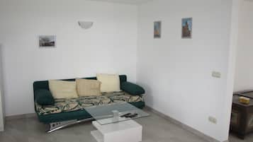 Televisión, reproductor de DVD, libros y estéreo