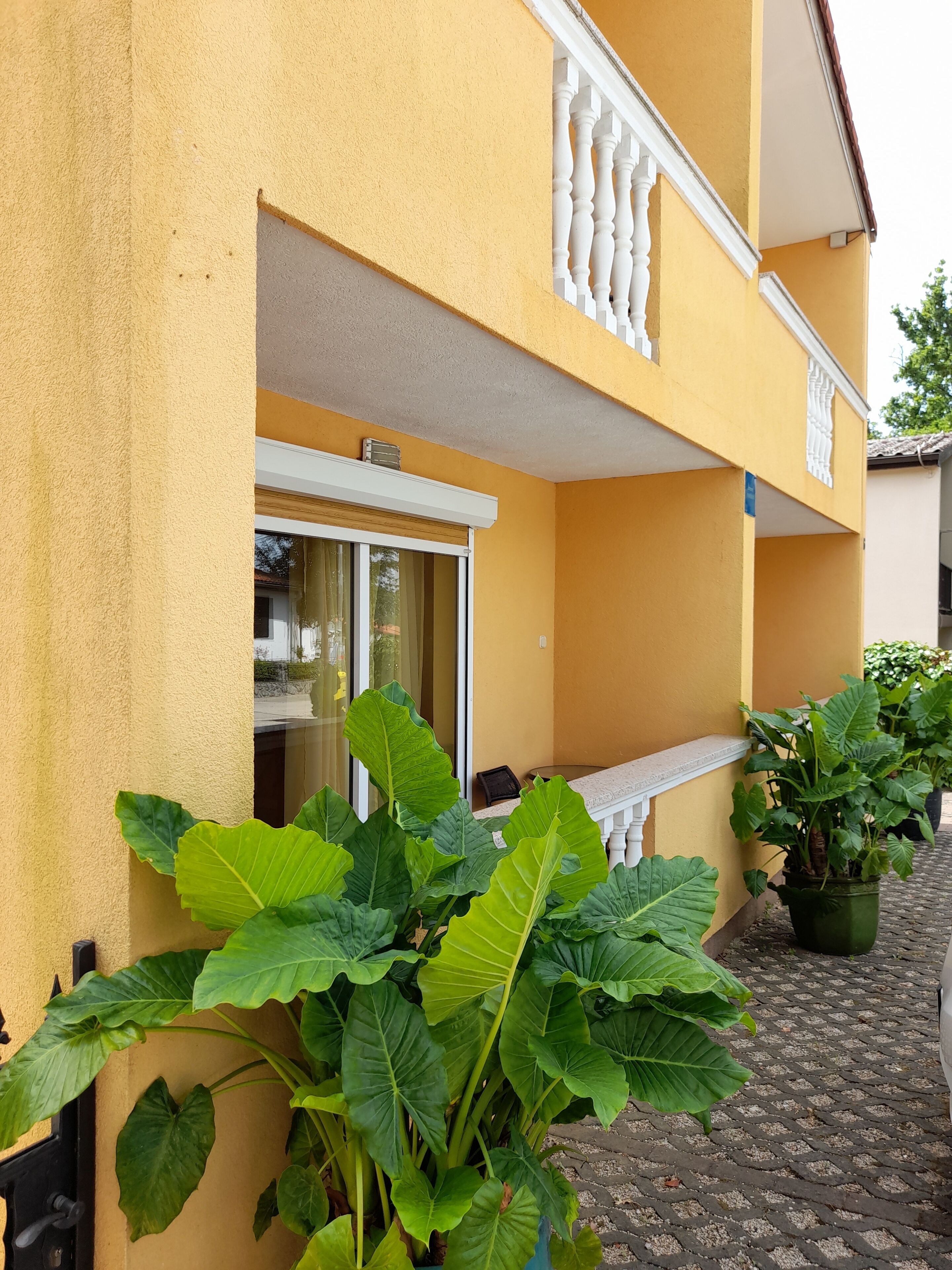 A yellow building with a white balcony, large green plants, and a window with a white frame.