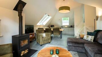 Télévision, cheminée, chaßne hi-fi