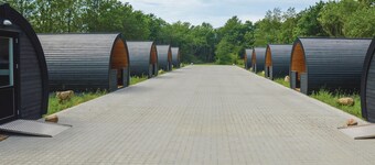 2 bedroom nice apartment in Nørre Nebel