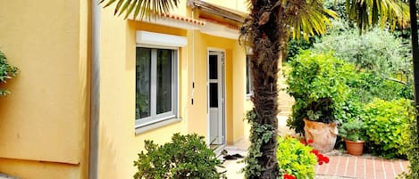 A yellow building with a brick pathway, a palm tree, and various potted plants.