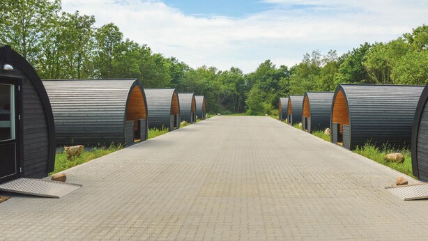 Een rij moderne, cilindervormige accommodaties met houten inrichting, langs een verhard pad, omringd door groen.