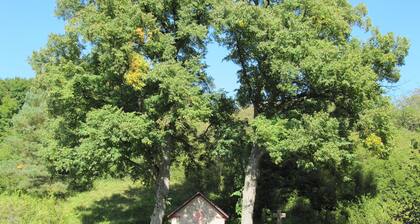 Well-kept apartment in the Eifel.