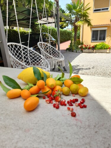 Für 2 Per,WLAN,250m zum Strand,Klima, Parkplatz, Spülmaschine,Balkon, Grillplatz