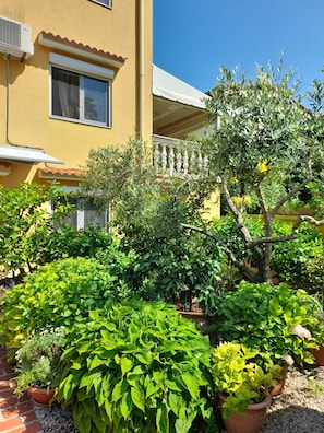 Un bâtiment jaune doté d’un balcon, entouré de différentes plantes en pot et surplombé d’un ciel bleu clair.