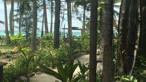 A tropical garden with palm trees and a pathway leading to a beach. - GreenHouse EcoLodge (Kampung Mantanani)