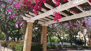 A pergola with pink flowers, brick columns, and a paved walkway with benches.