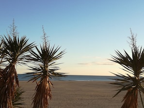 Une plage bordée de palmiers, sous un ciel dégagé.