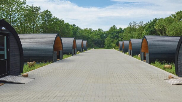 A row of modern, cylindrical cabins with wooden interiors, arranged along a paved pathway in a forested area.