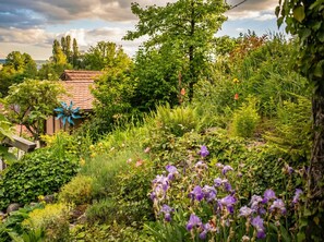 Property grounds - Himmelreich—small, charming, sunny, with a terrace (Überlingen)