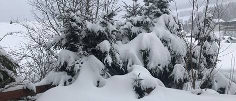 Terrain de lâhĂ©bergement