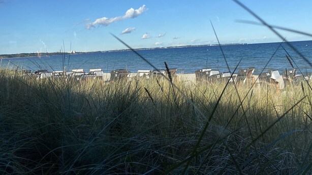A beach with rows of numbered beach chairs and a grassy foreground. - Holiday house near Baltic Sea (Bay of Lübeck) (Ahrensbök)