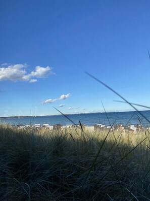 A beach with rows of numbered beach chairs and a grassy foreground. - Holiday house near Baltic Sea (Bay of Lübeck) (Ahrensbök)