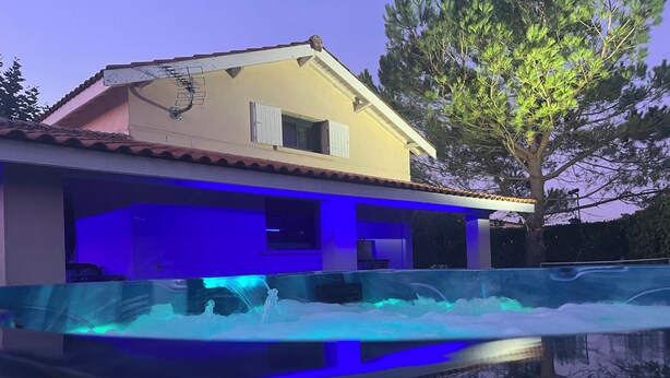 A house with a swimming pool and a tree in the background.