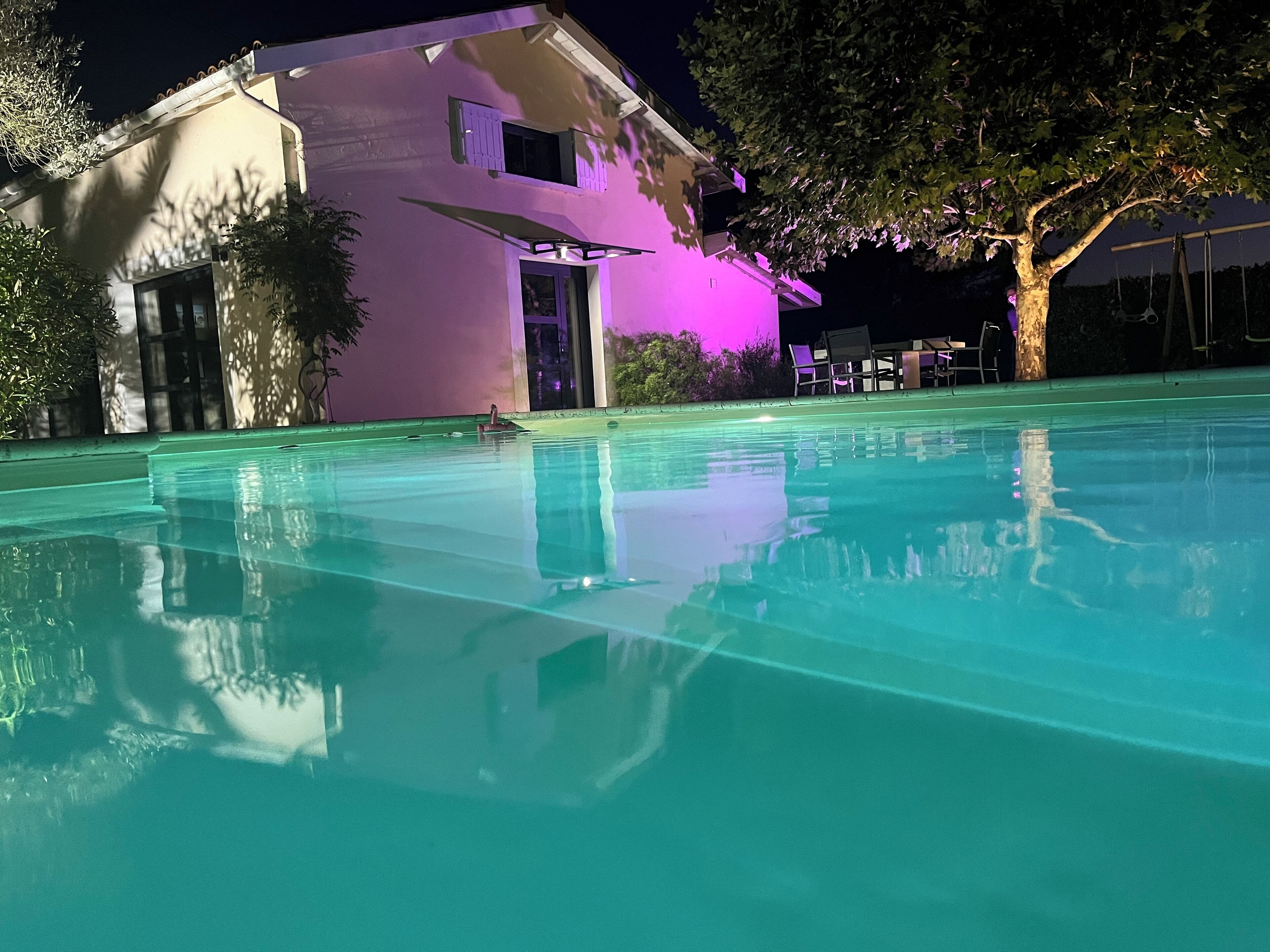 Une piscine à l’eau claire, une maison dont l’extérieur est illuminé de lumière violette, et un arbre en arrière-plan.