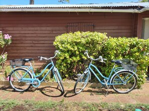 Un vélo bleu est garé devant une maison en bois dont le toit est en métal.