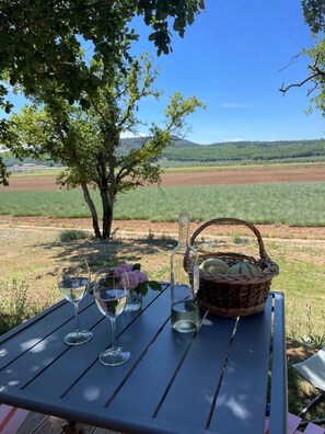 Restauration en plein air