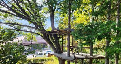 Minna no ie Polepole