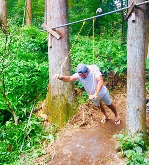 Uma pessoa balançando em uma corda entre árvores numa floresta.