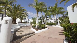A pathway lined with palm trees and white walls, leading to a building with a curved entrance.