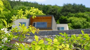 A modern house with a wooden facade and large windows, surrounded by lush greenery and a stone wall. - Moonlight Village Pension (Danyang)