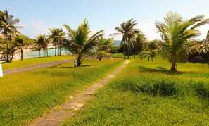 Ein von Palmen gesäumter Weg, der zum Strand führt.