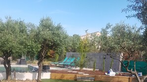 Un patio trasero bien cuidado con piscina, césped verde y zona de estar al aire libre.
