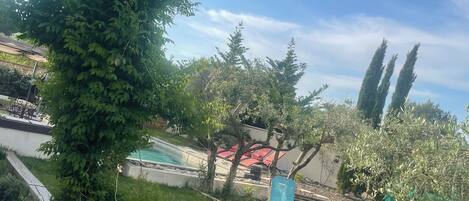 Ein Garten mit Pool, blauem Stuhl und rotem Sonnenschirm.