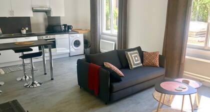 Le Central (bel appartement au calme en hyper-centre)