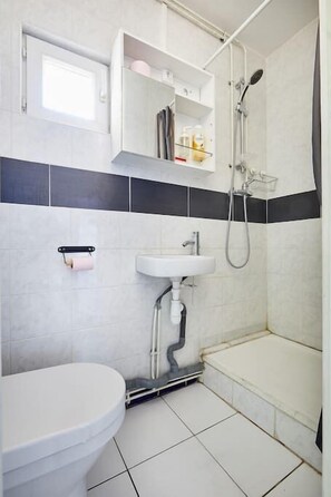Shower, hair dryer, towels