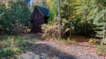 A rustic cabin surrounded by dense forest, accessible by a gravel path.